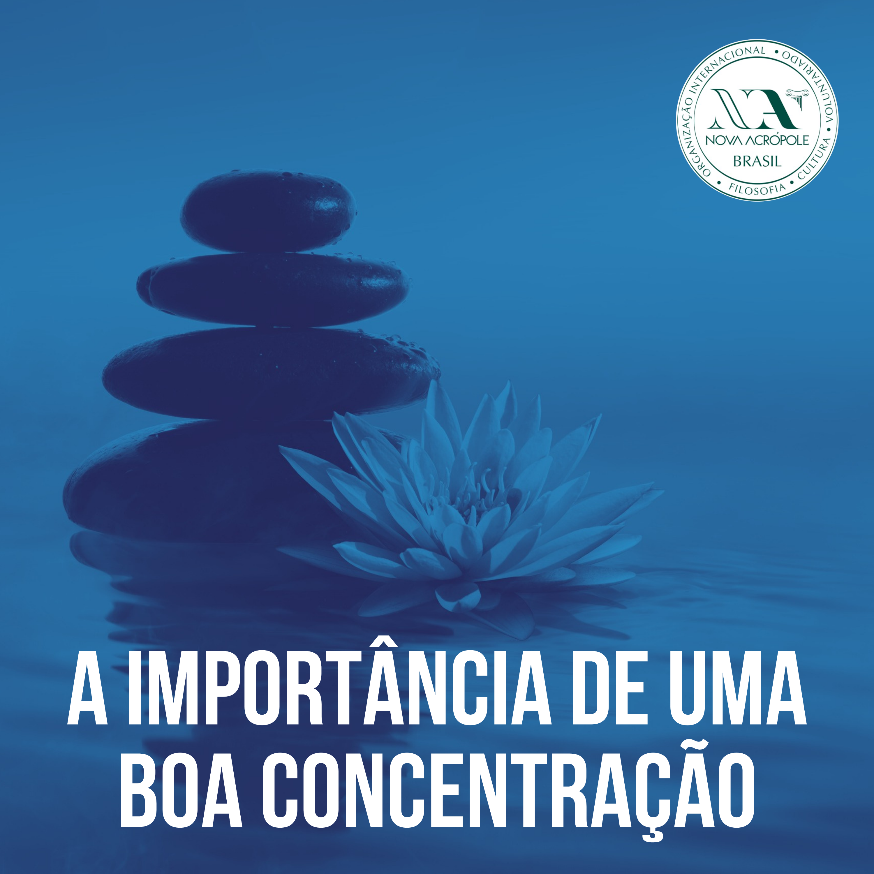 Logomarca do A importância de uma boa concentração