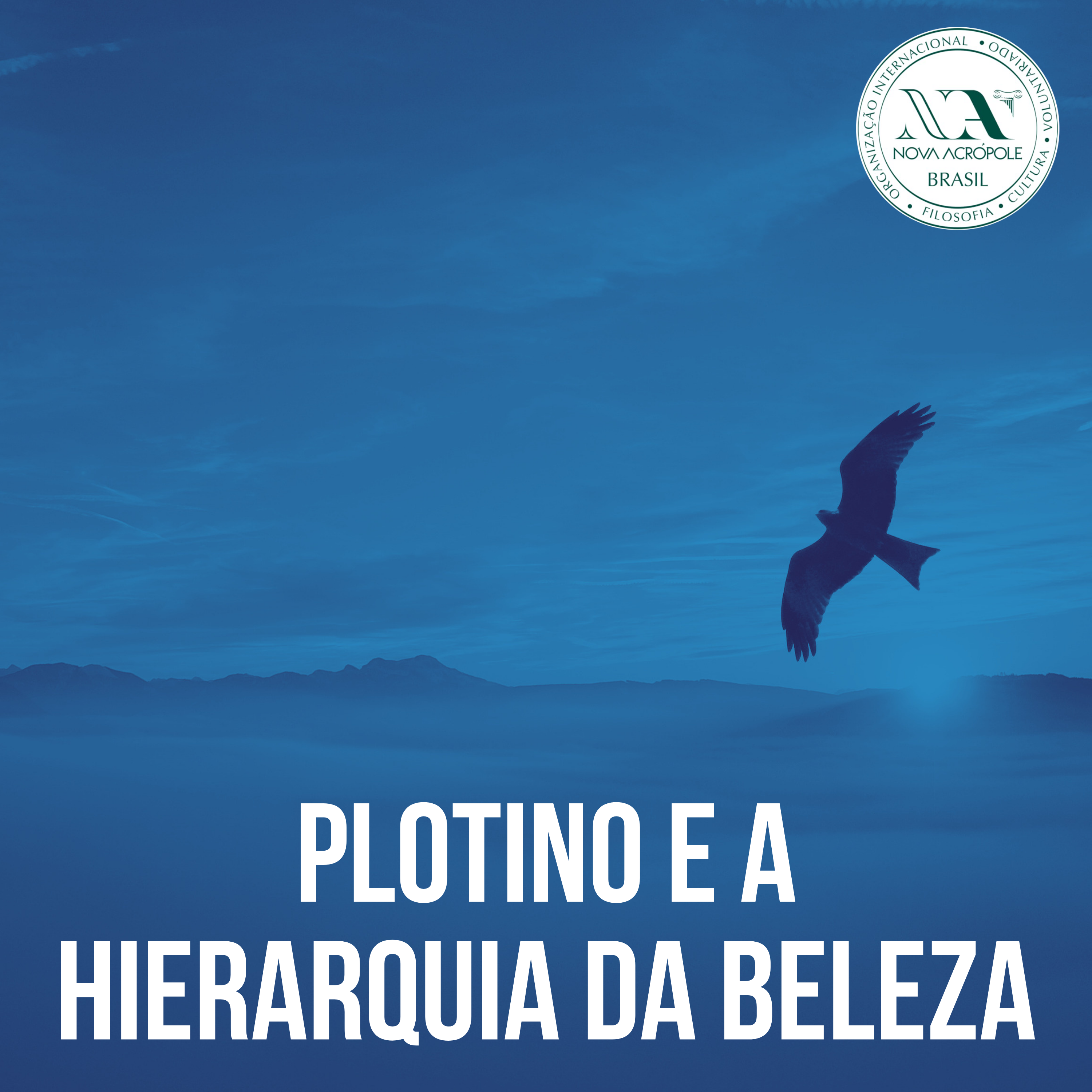 Logomarca do Plotino e a hierarquia da Beleza