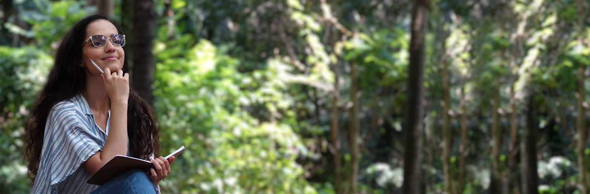 banner-curso