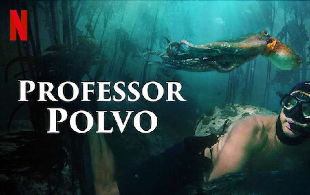 Professor Polvo (2020)