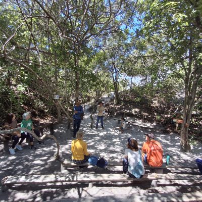 Semana da Mãe Terra - Nova Acrópole Salvador promove reflexão e consciência ambiental